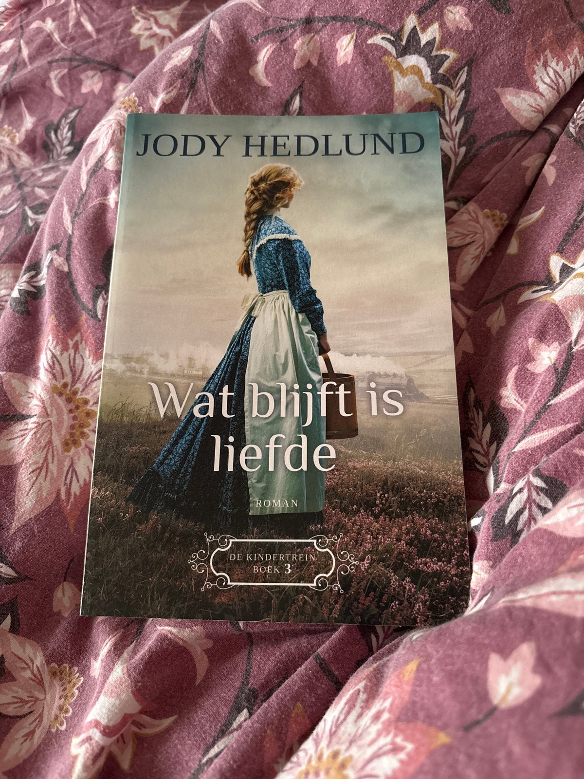 Wat blijft is liefde - Jody Hedlund (De Kindertrein Boek 3), Ophalen of Verzenden, Zo goed als nieuw, Nederland