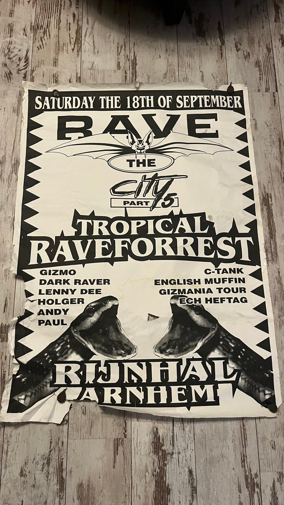 Rave the city part 5 hardcore gabber Thunderdome, Ophalen of Verzenden, Gebruikt, Deurposter of groter