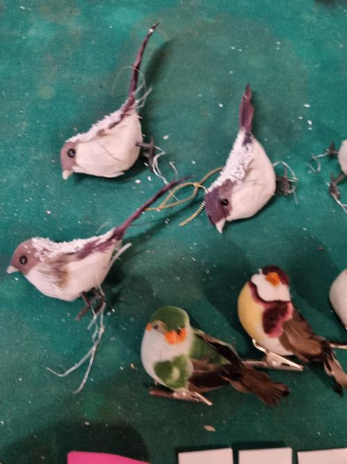 kerst vogels op klem papier 7x [b269], Diversen, Kerst, Ophalen of Verzenden, 'T Olde Gre-j, Info@toldegrej.nl, Endepoelstraat 20f Didam