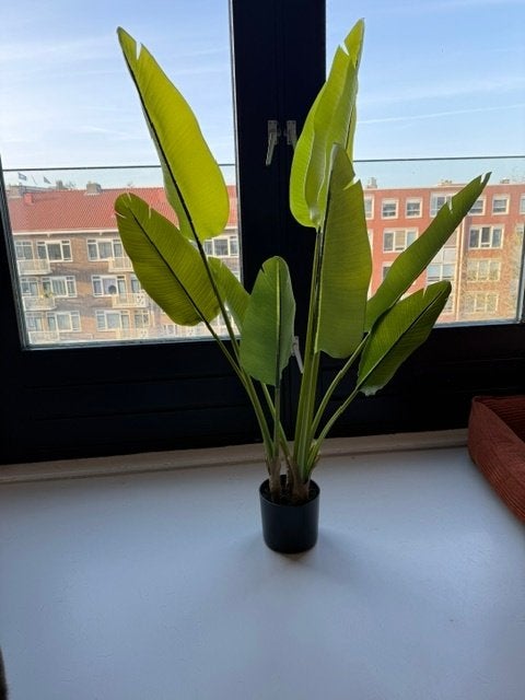 Strelitzia kunstplant - Countryfield, Ophalen, Groen, Kunstplant, Overige materialen