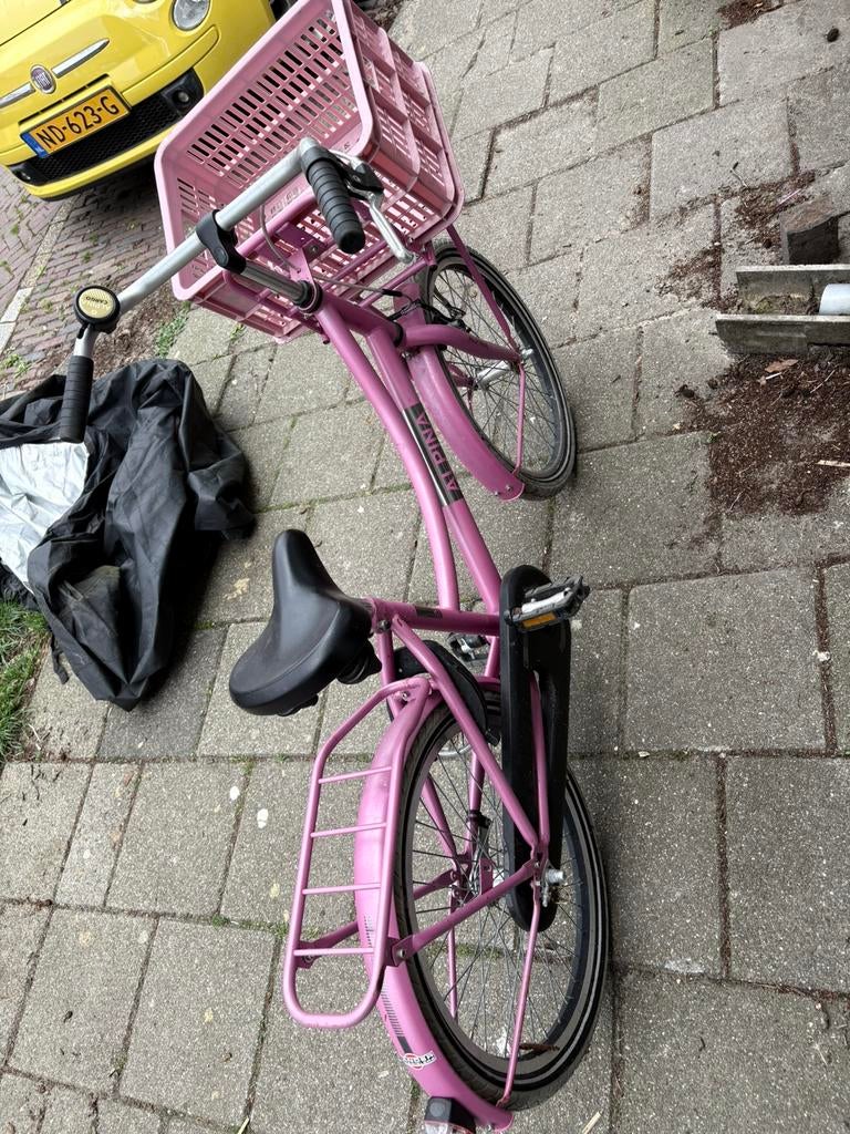ALPINA meisjesfiets 20 inch, Fietsen en Brommers, Fietsen | Meisjes, Ophalen, Terugtraprem, Gebruikt, Handrem