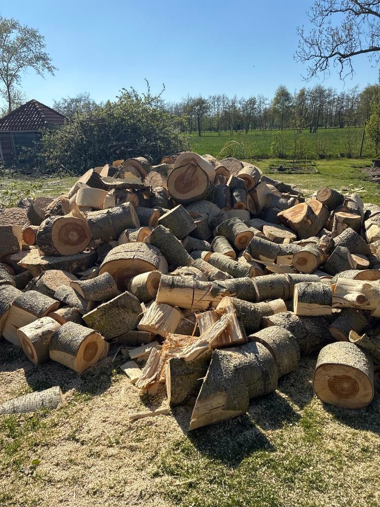 Vers gezaagd hout populier, Tuin en Terras, Haardhout, 6 m³ of meer, Ophalen, Overige houtsoorten, Blokken