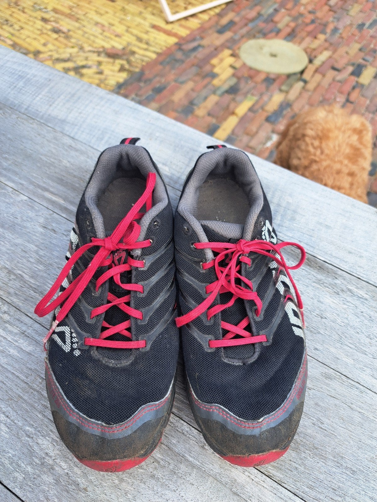 Inov survivalschoen mt 38,5, Ophalen, Gebruikt, Hardloopschoenen, Overige merken