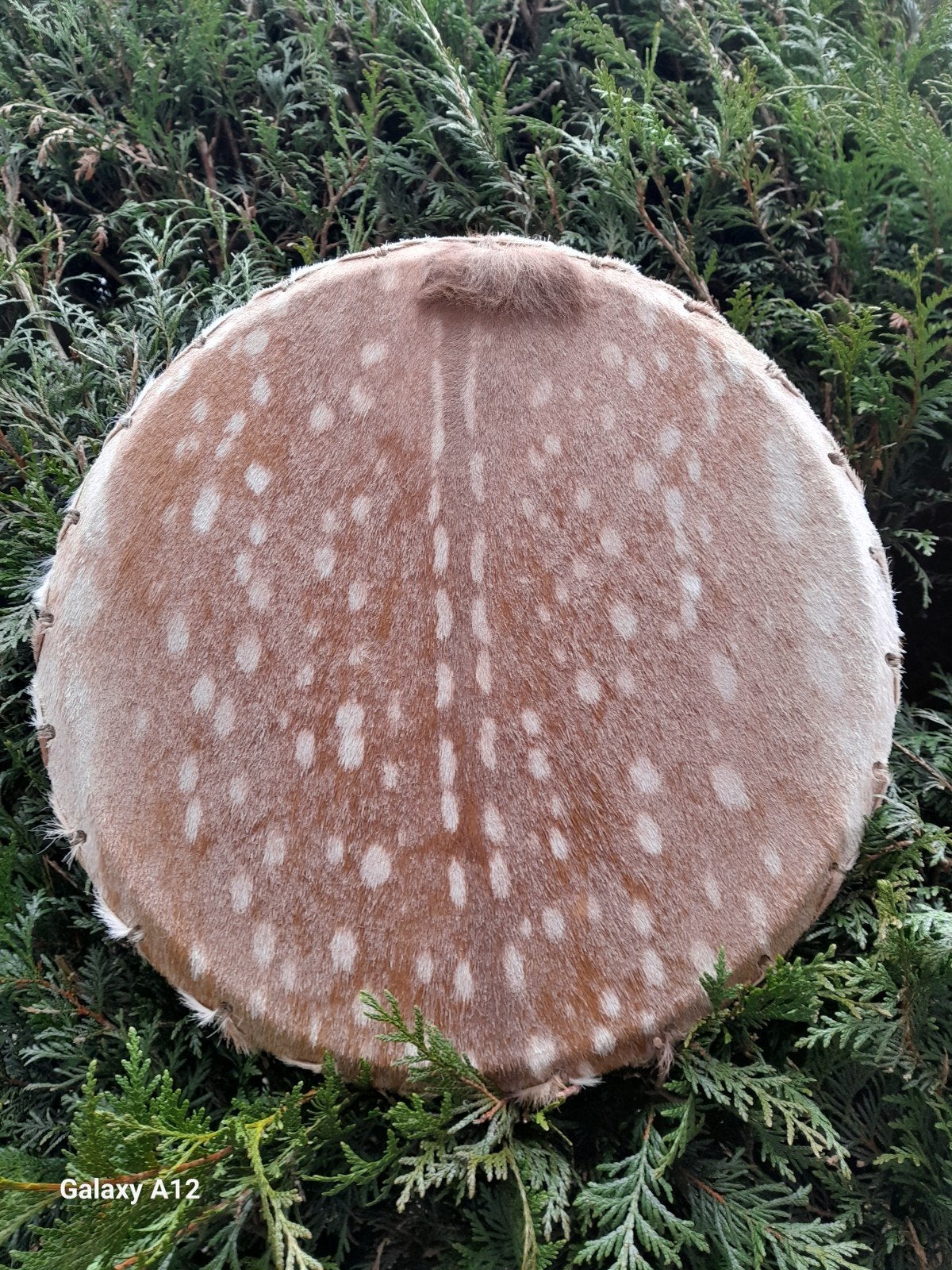 Mooie sjamanendrum van Damhert, Ophalen, Nieuw, Trommel