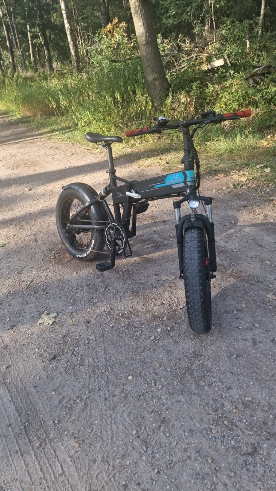 fatbike Fiido m1 pro, Ophalen, Zo goed als nieuw, 20 inch of meer