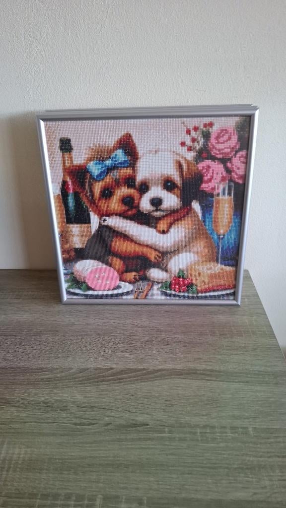 diamond painting, Hobby en Vrije tijd, Knutselen, Ophalen of Verzenden, Nieuw, Knutselwerk