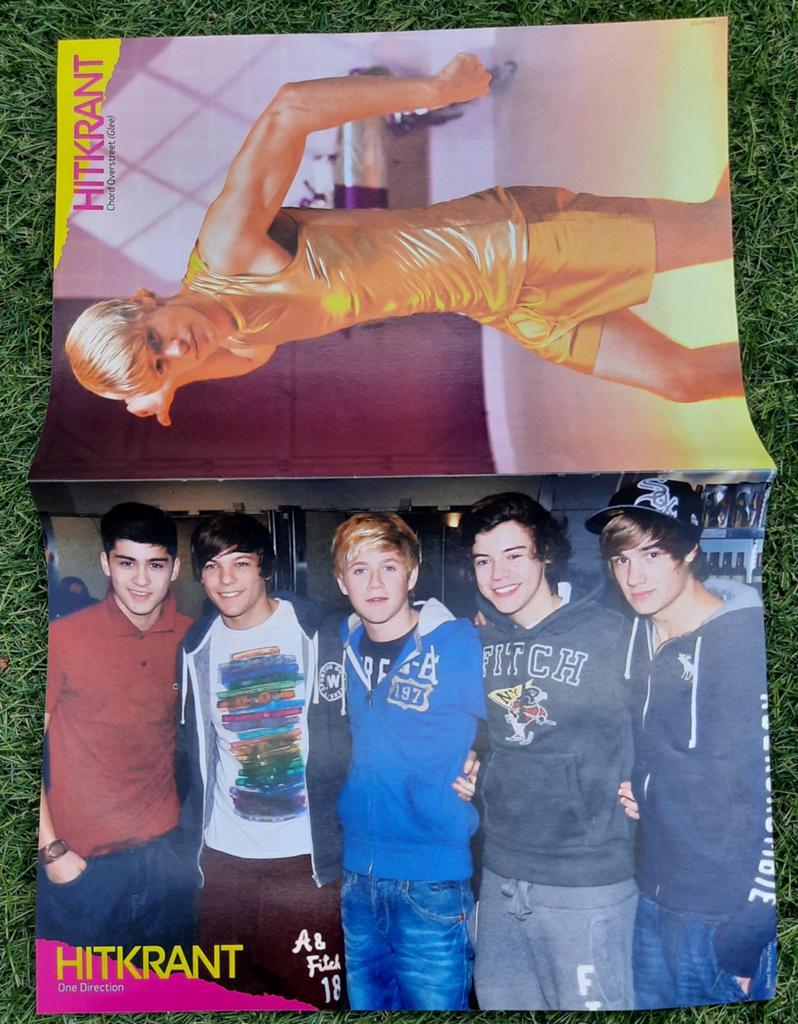 Poster 2x A4 Hitkrant 2011 One Direction Go Back to the Zoo, Verzamelen, Ophalen of Verzenden, Gebruikt, A1 t/m A3, Muziek