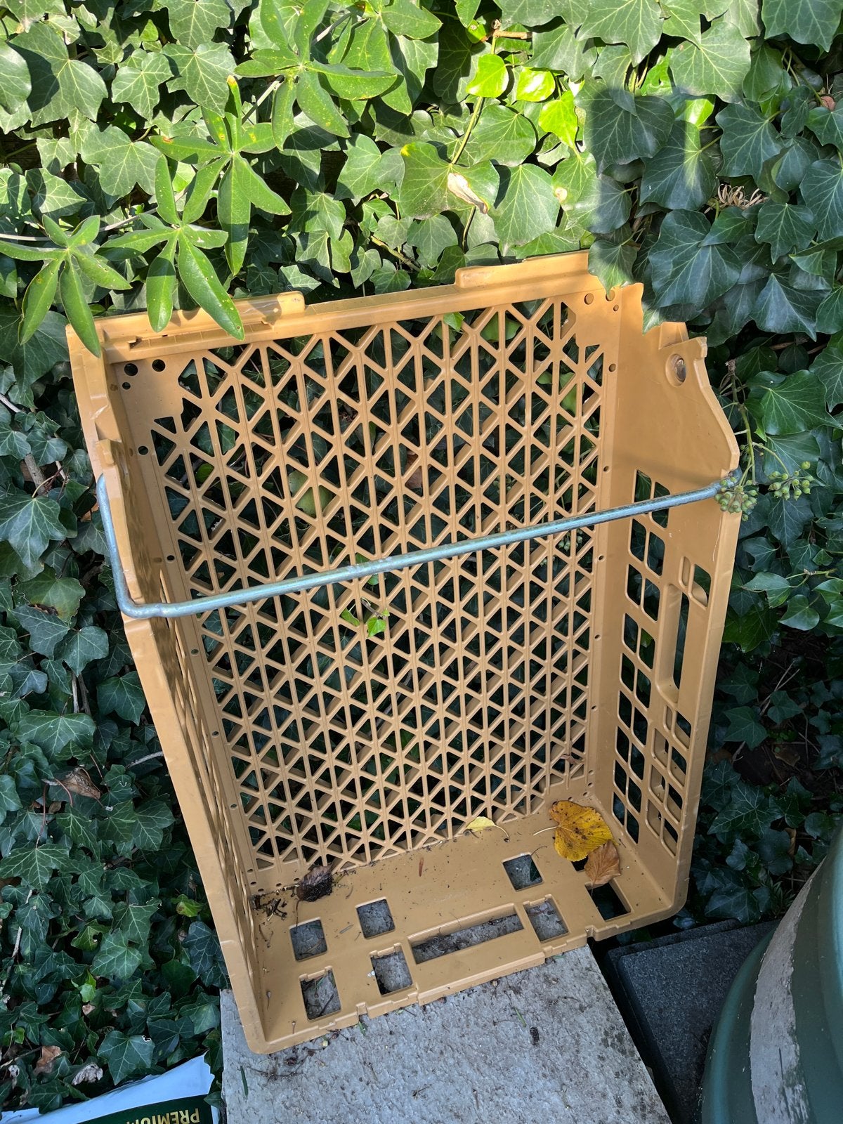 Gratis op te halen: bakkerij krat | broodkrat (m2457139917) — Kratten ...