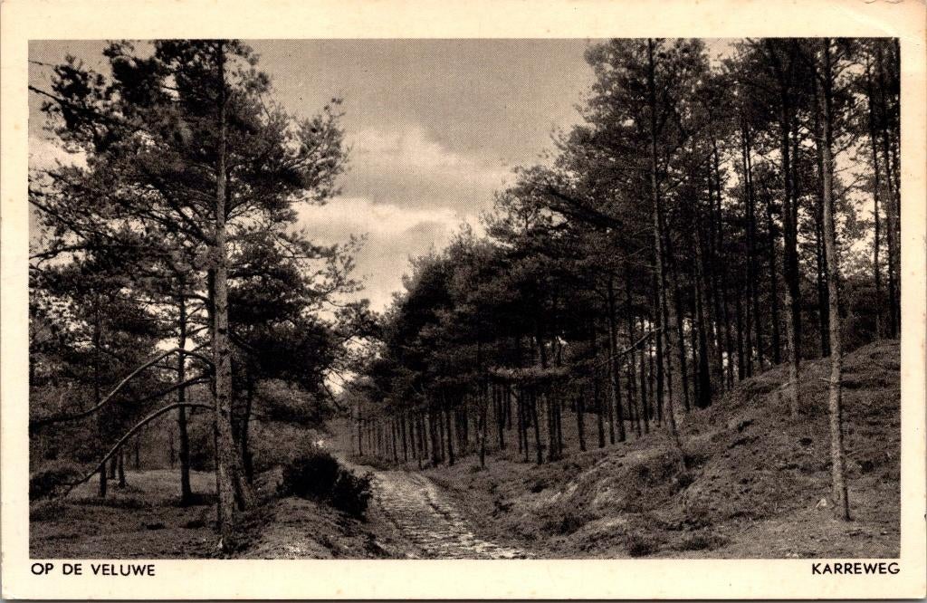 Op de Veluwe - Karreweg, Verzenden, 1940 tot 1960, Ongelopen, Gelderland