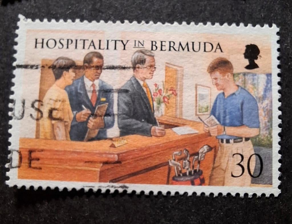 Bermuda 19, Ophalen of Verzenden