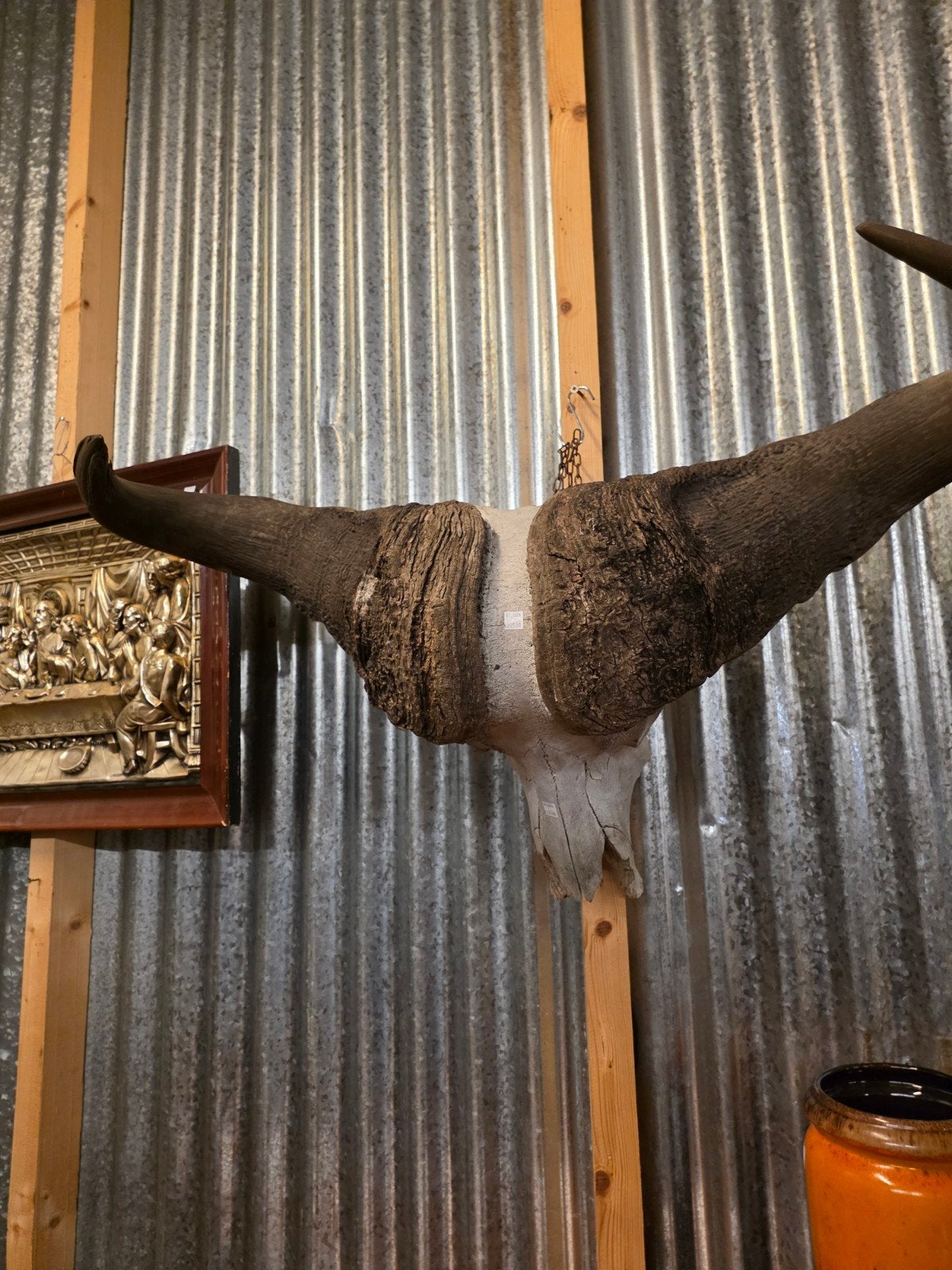 Afrikaanse koffer buffel, Ophalen, Beeldje of Figuurtje