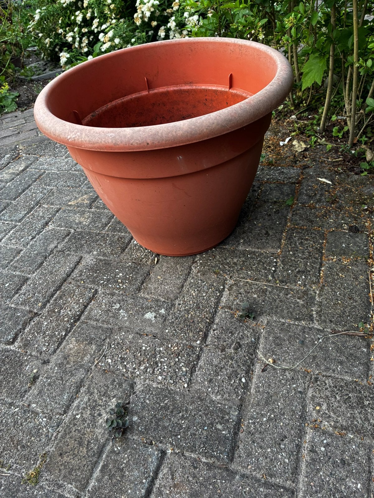Bloempot plastic- gratis, Ophalen, Kunststof, Minder dan 30 cm, Rond