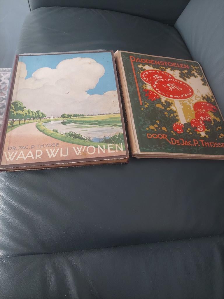 Plaatjesalbums jac Thysse 1929 en 1937, Boeken, Ophalen of Verzenden, Gelezen