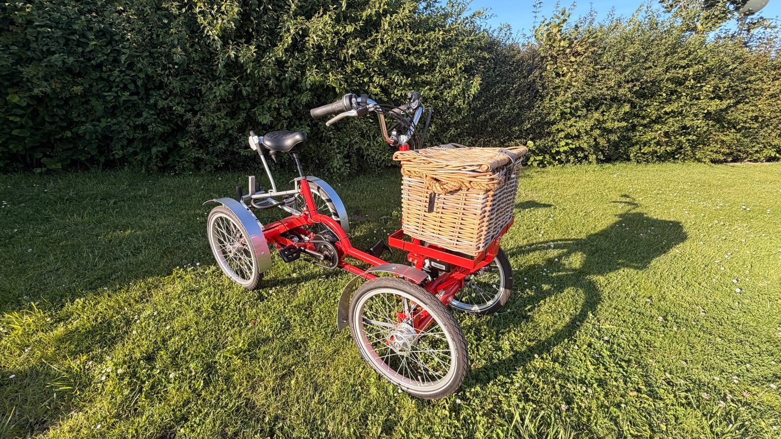 Stabiele elektrische 4-wielfiets in topstaat, Ophalen, Zo goed als nieuw, Overige merken