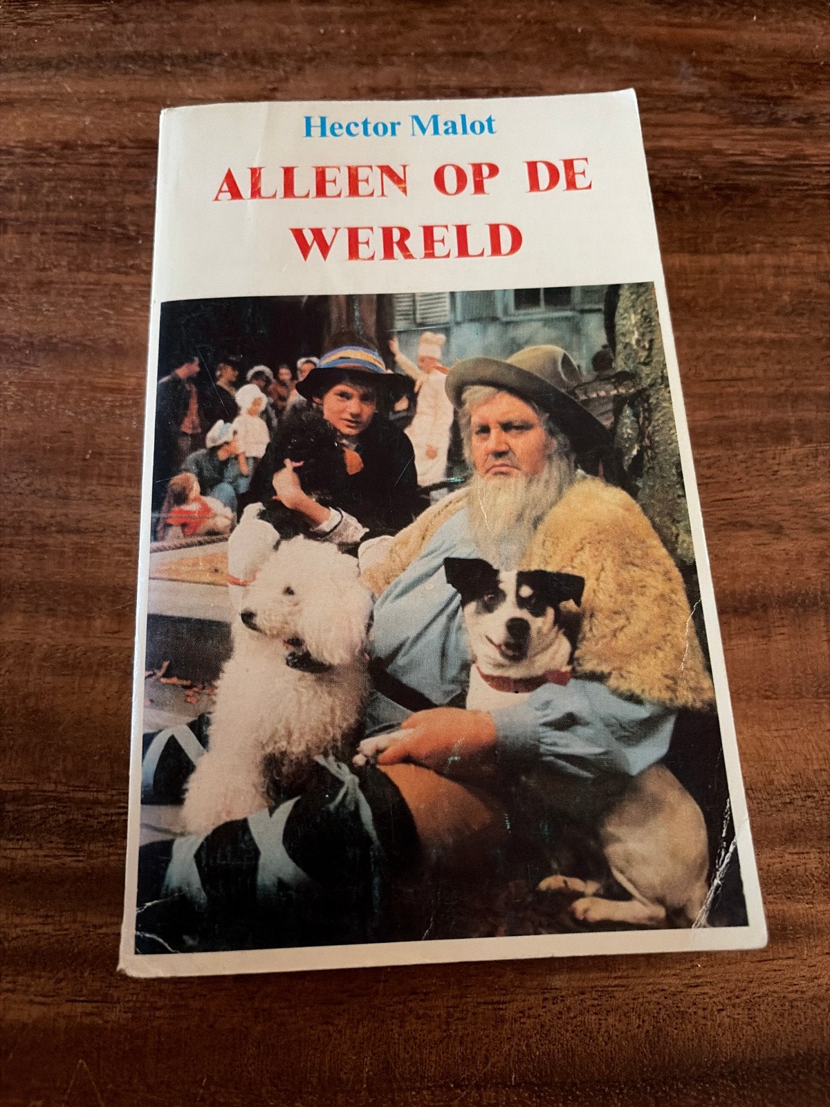 Alleen op de Wereld - Hector Malot (Vintage Boek) - V2, Ophalen of Verzenden, Gelezen, Fictie algemeen