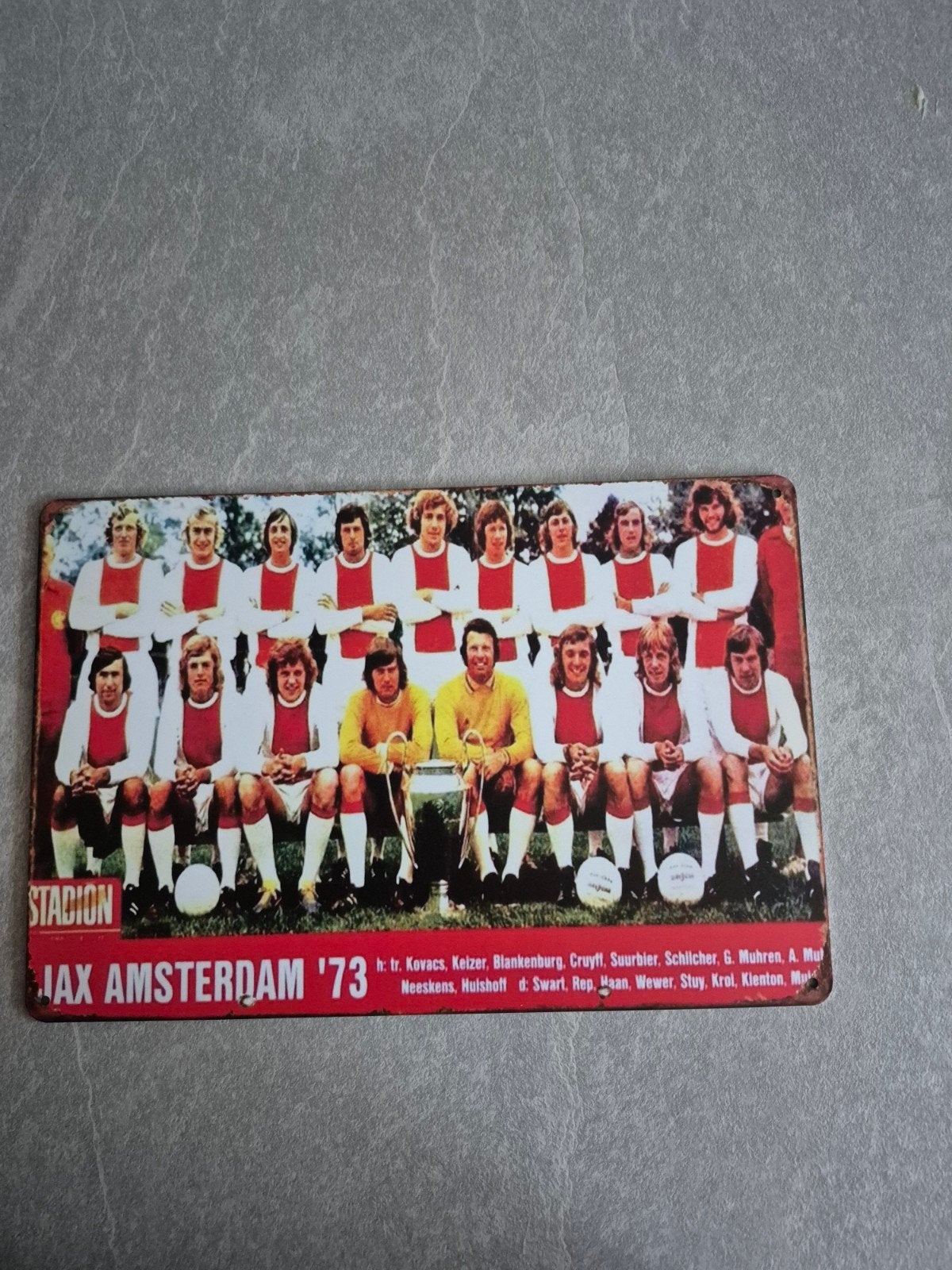 Ajax Amsterdam '73 Teamfoto - Vintage Metalen Plaat, Ophalen of Verzenden, Gebruikt, Ajax, Overige typen