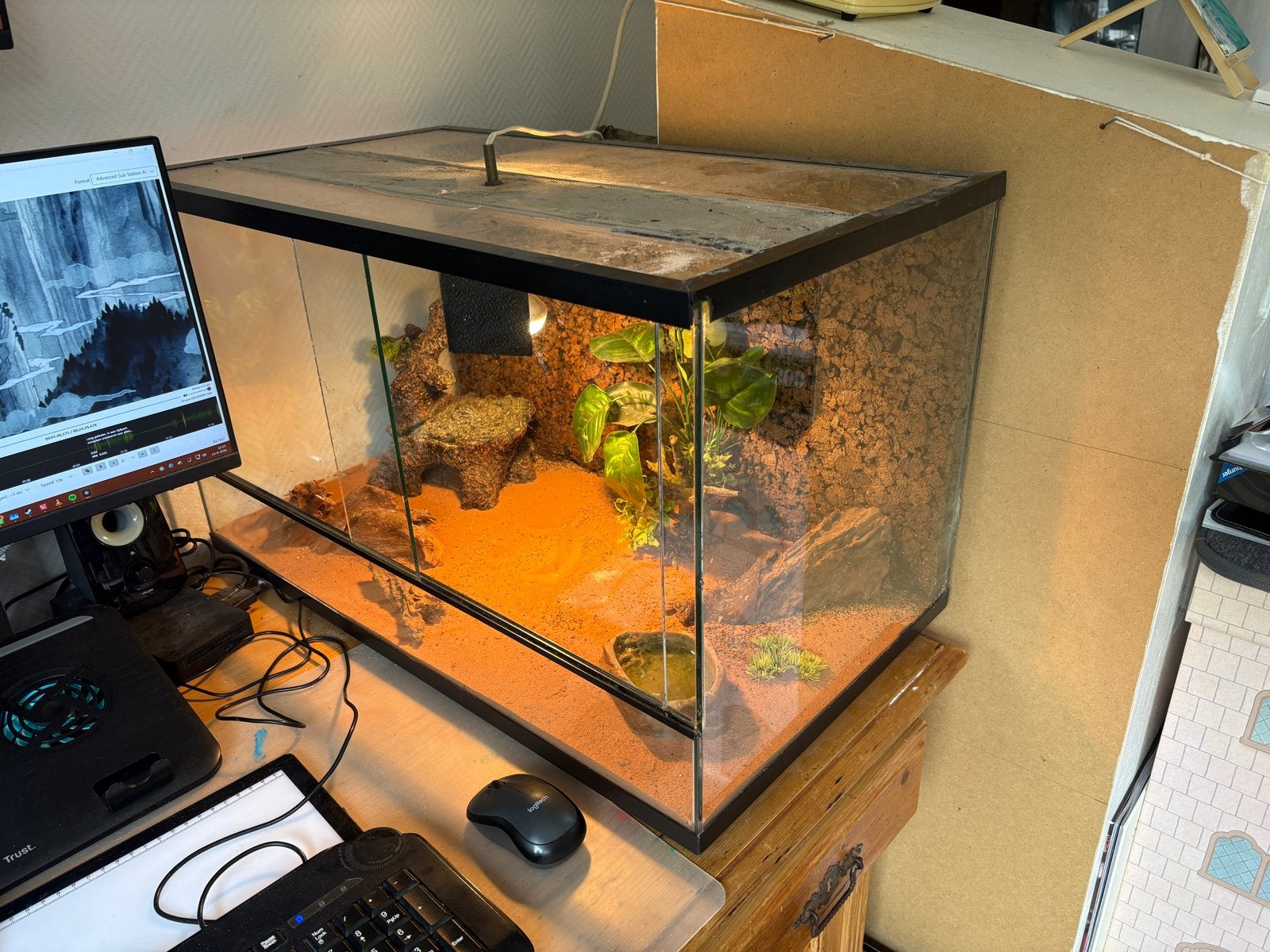Terrarium 70 x 40 x 42 cm, Ophalen, Gebruikt, Terrarium of Paludarium