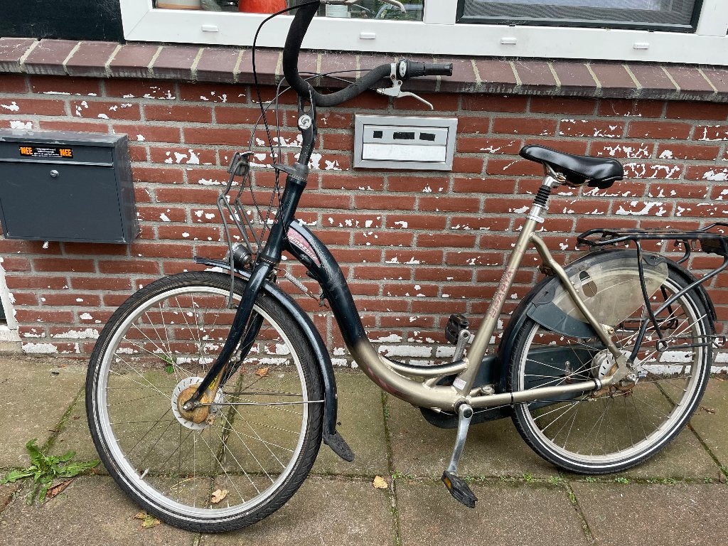 Moederfiets gebroken spaken, 2 zitjes, Gebruikt, Versnellingen, Ophalen