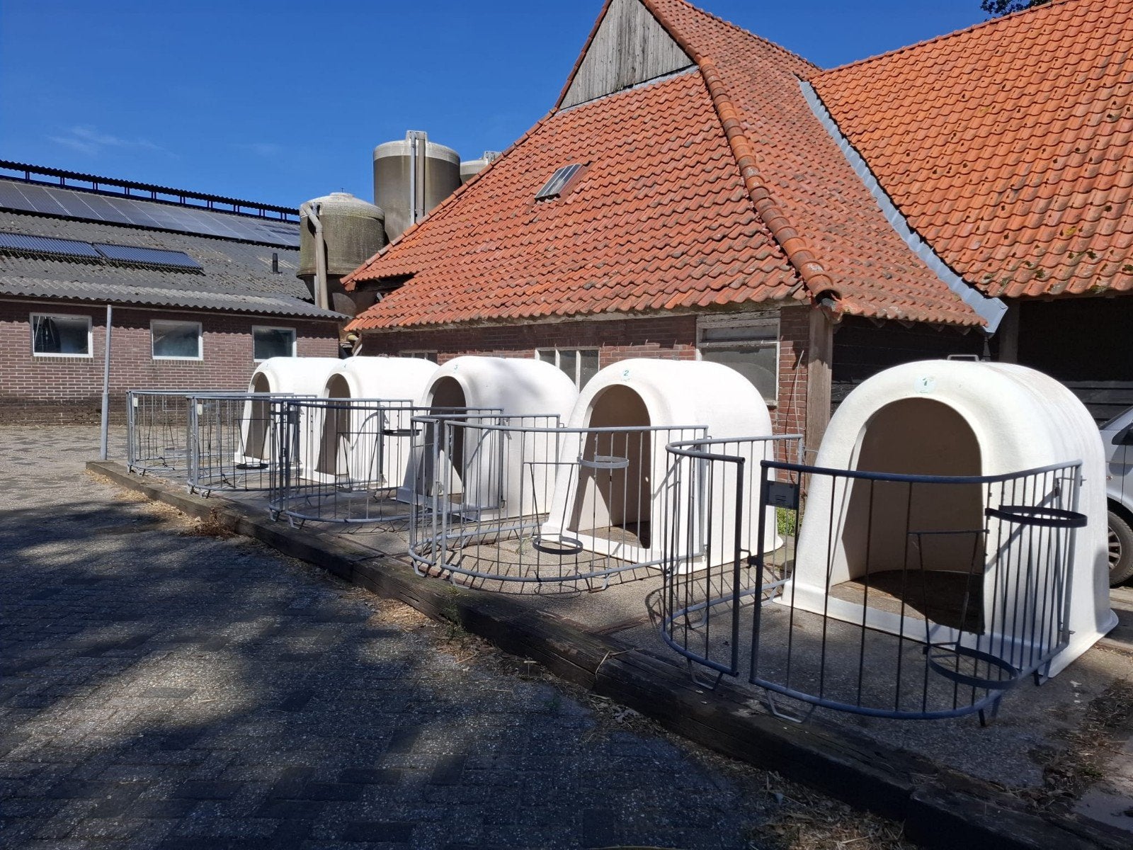 kalveriglo met hekwerk (5 stuks), Ophalen, Gebruikt