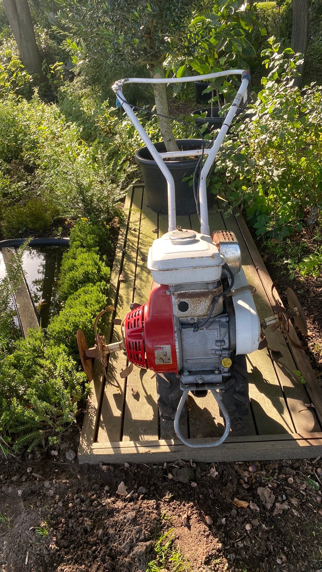 Honda tuinfrees F300, Ophalen, Gebruikt