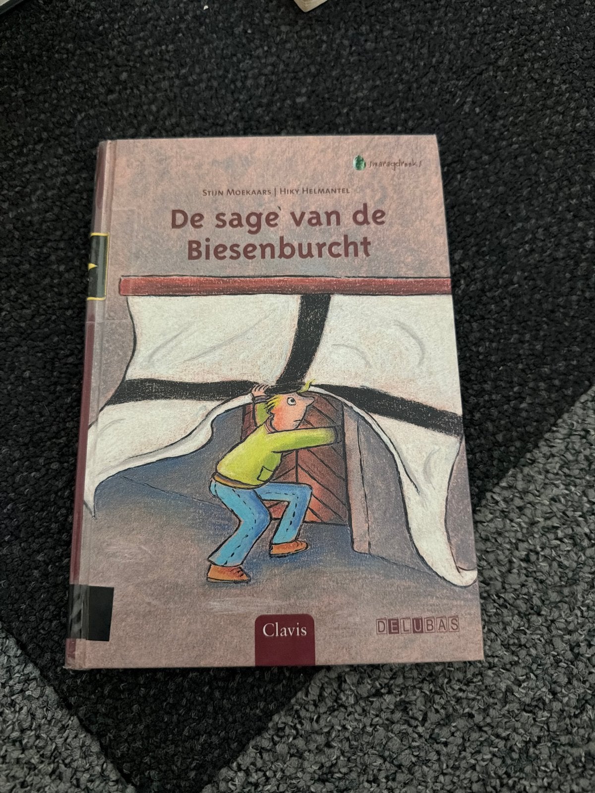 De sage van de Biesenburcht - Kinderboek, Ophalen, Zo goed als nieuw, Fictie algemeen