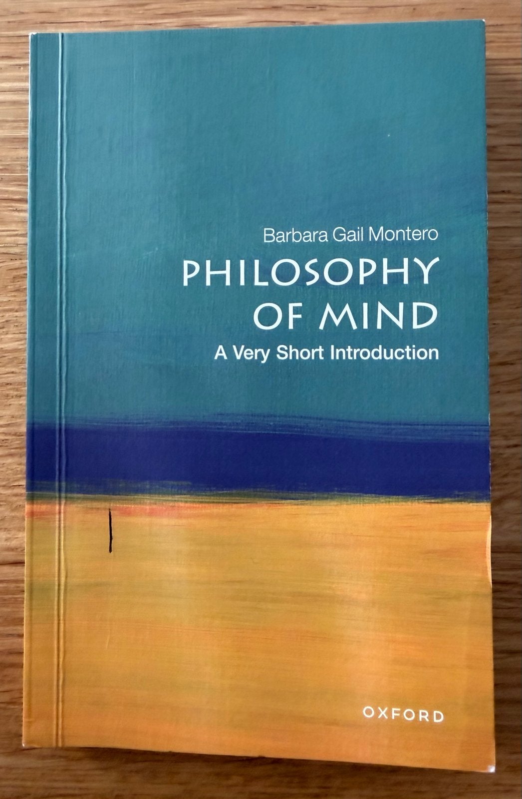Philosophy of Mind: A Very Short Introduction, Boeken, Ophalen of Verzenden, Gelezen, Metafysica of Natuurfilosofie