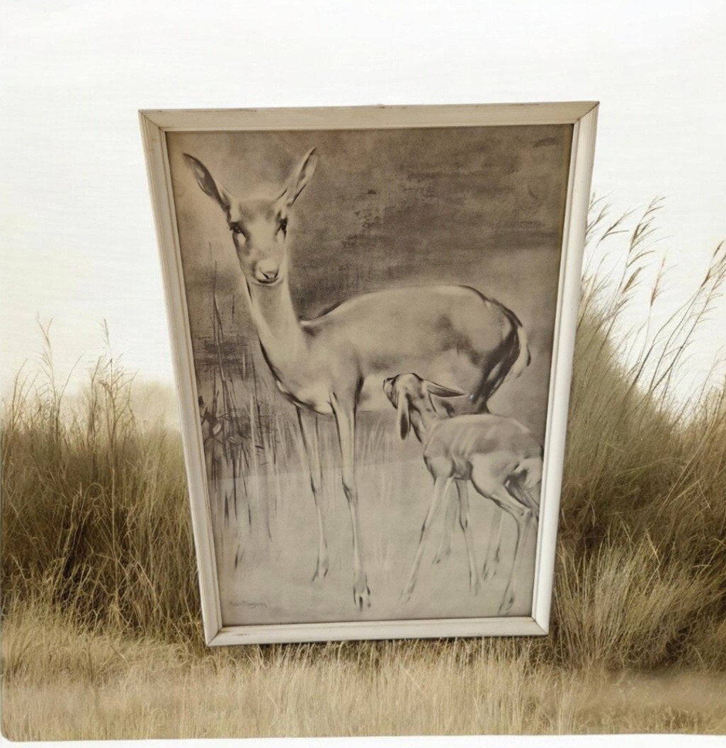 Han van Meegeren hert prent in lijst vintage schilderij, Ophalen of Verzenden, Huis en Inrichting