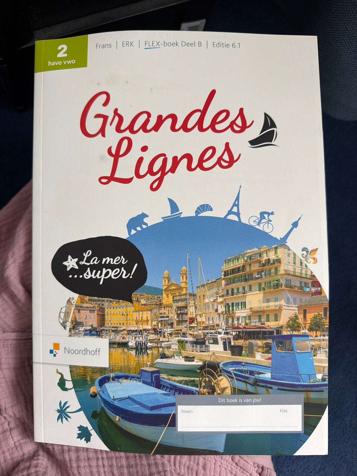 Grandes Lignes Fransboek 2 havo vwo deel B Editie 6.1, Boeken, Ophalen, Gelezen, HAVO, Frans