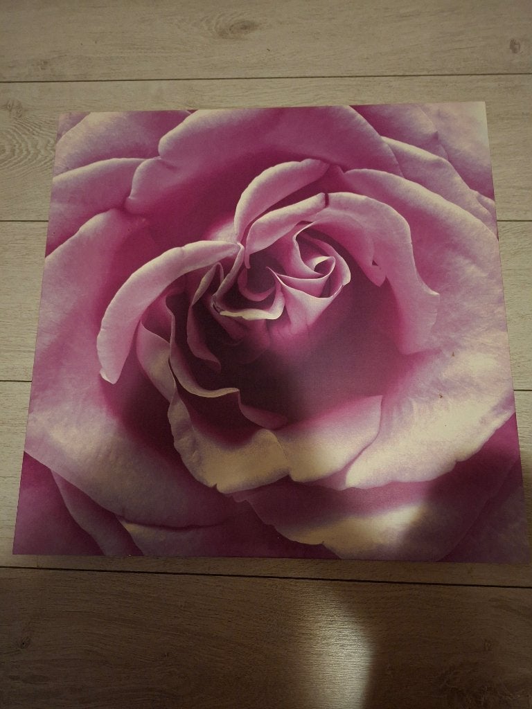 Schilderij, Verzenden