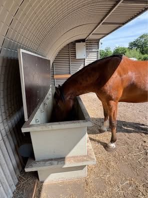 Automatische hooibak slowfeeder paard, Dieren en Toebehoren, Toebehoren, 2 of 3 paarden of pony's