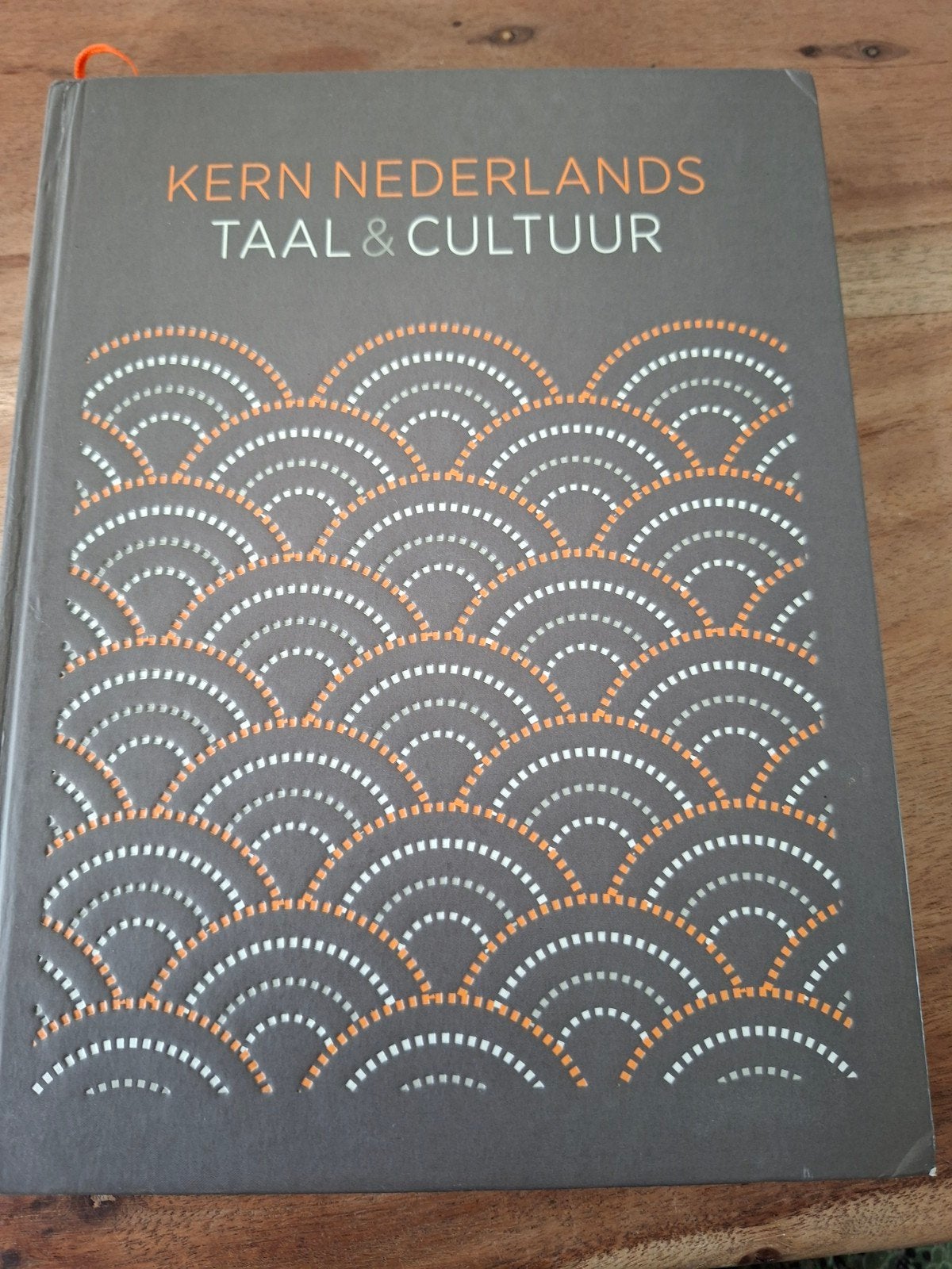 Kern Nederlands Taal & Cultuur - Boek voortgezet onderwijs, Ophalen of Verzenden, Alpha, Gelezen, Overige niveaus