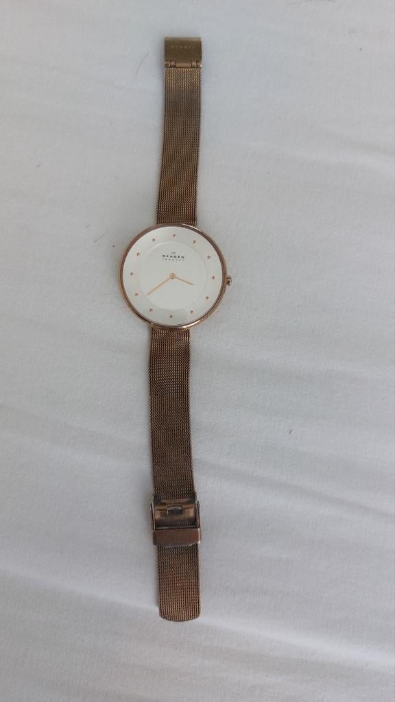 Elegant Skagen horloge - Roségoudkleurig met mesh band, Sieraden, Tassen en Uiterlijk, Horloges | Dames, Overige merken, Staal