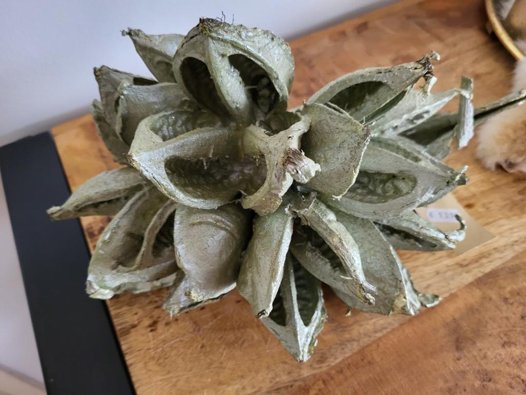Sororoca decoratie, Ophalen of Verzenden, Nieuw, Groen, Natuurlijk materiaal