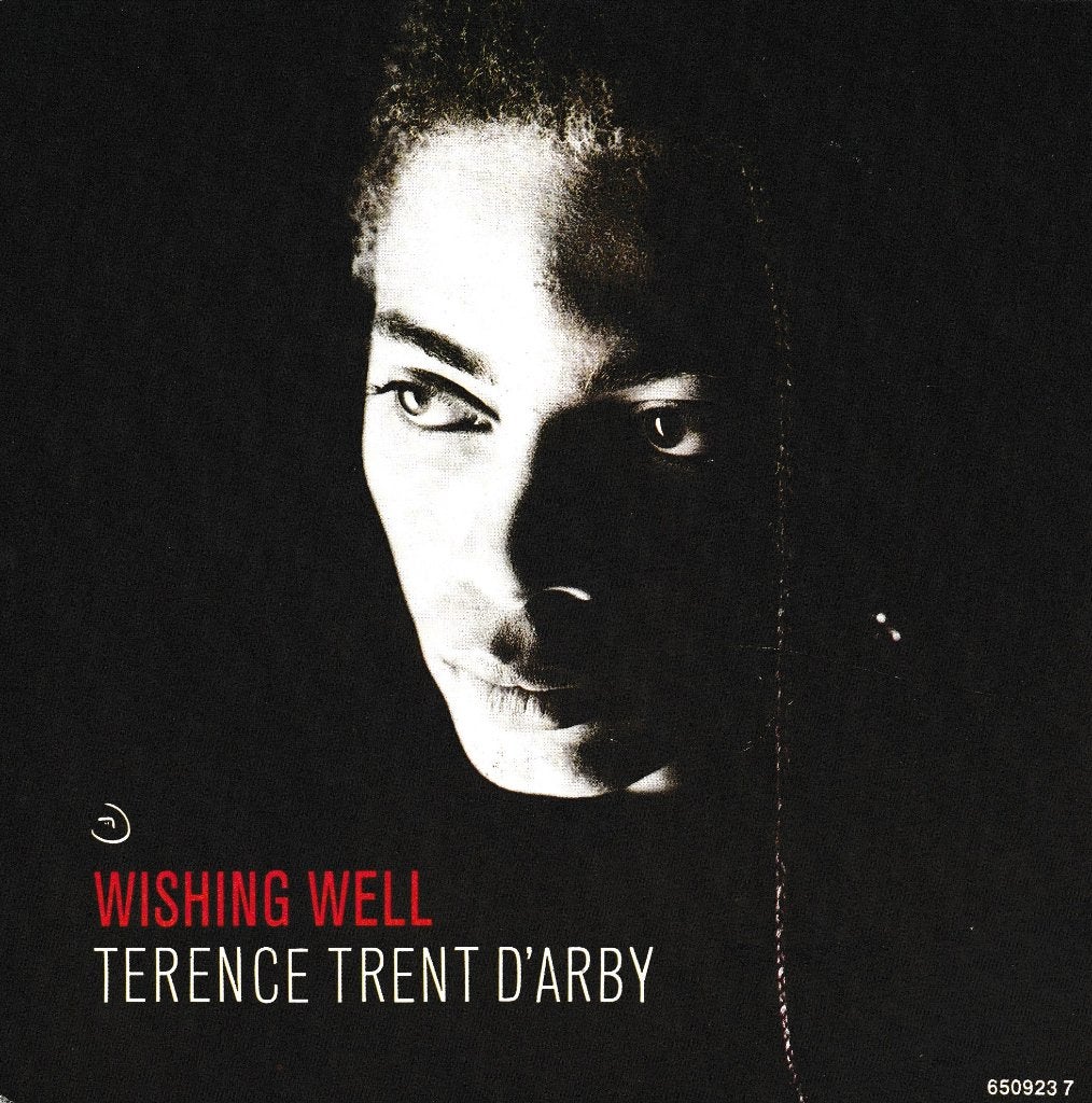 Terence Trent D'Arby - Wishing well, Ophalen of Verzenden, Gebruikt, 7 inch, Pop