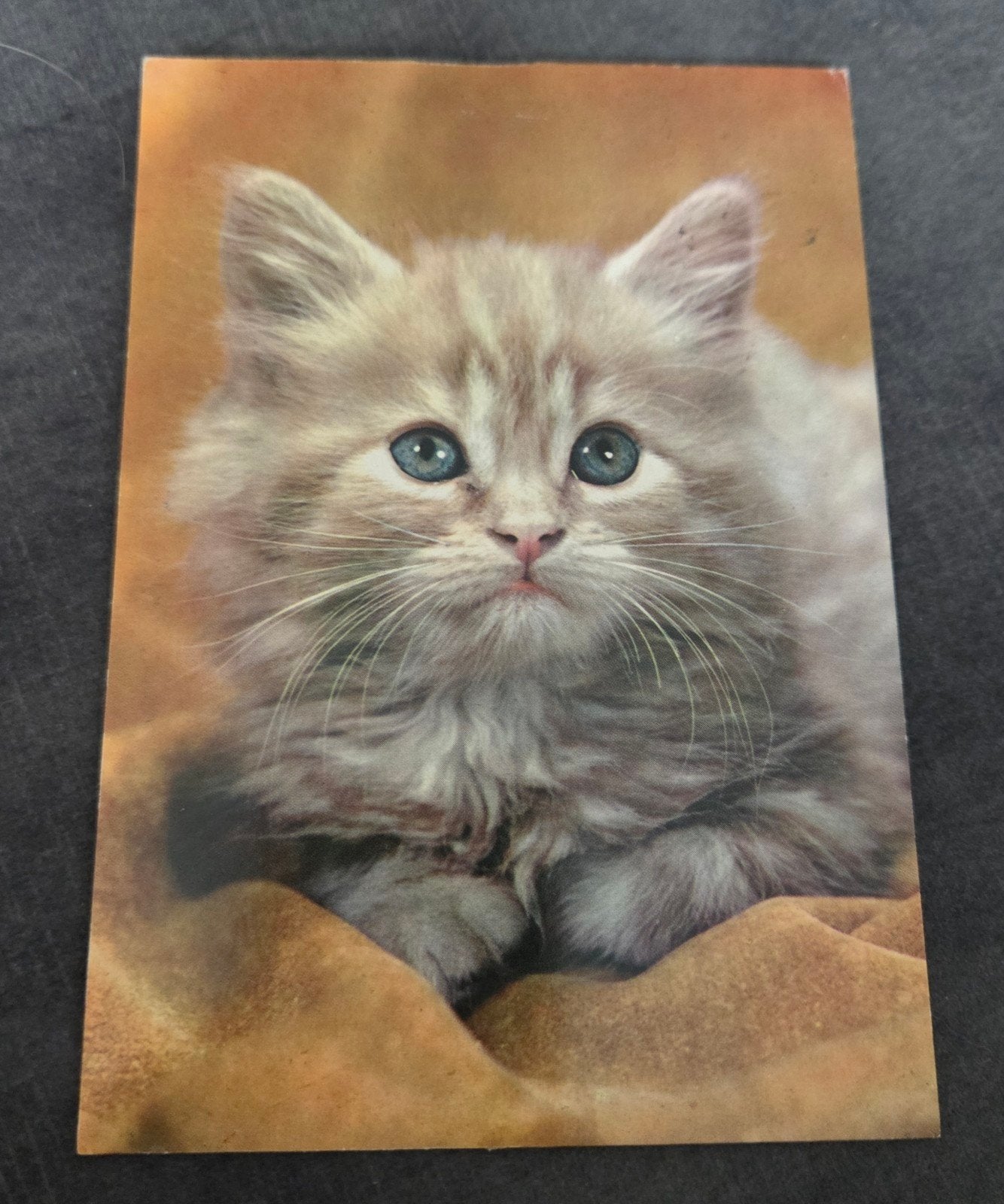 Oude ansichtkaart met schattige kitten - Gelopen 1972, Verzamelen, Verzenden, 1960 tot 1980, Gelopen, Hond of Kat