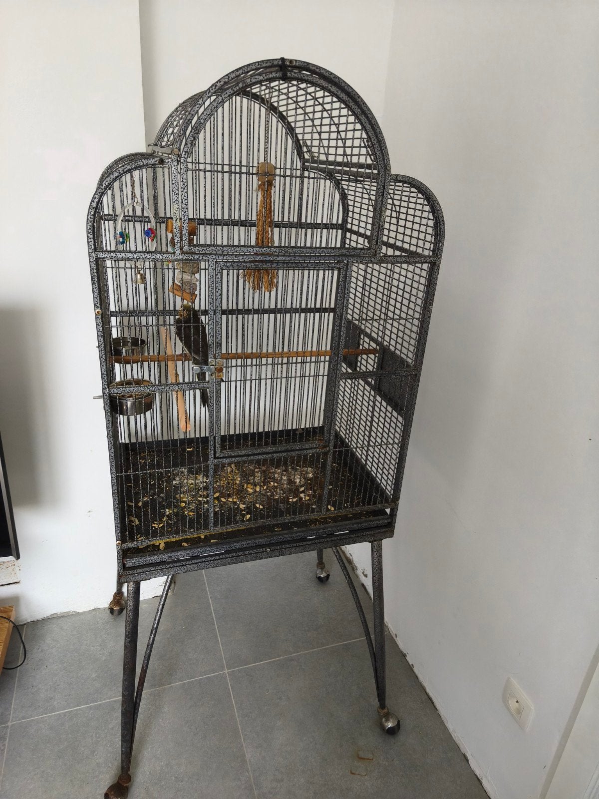 papegaai kooi, Dieren en Toebehoren, Ophalen of Verzenden, Zo goed als nieuw, Metaal, Vogelkooi