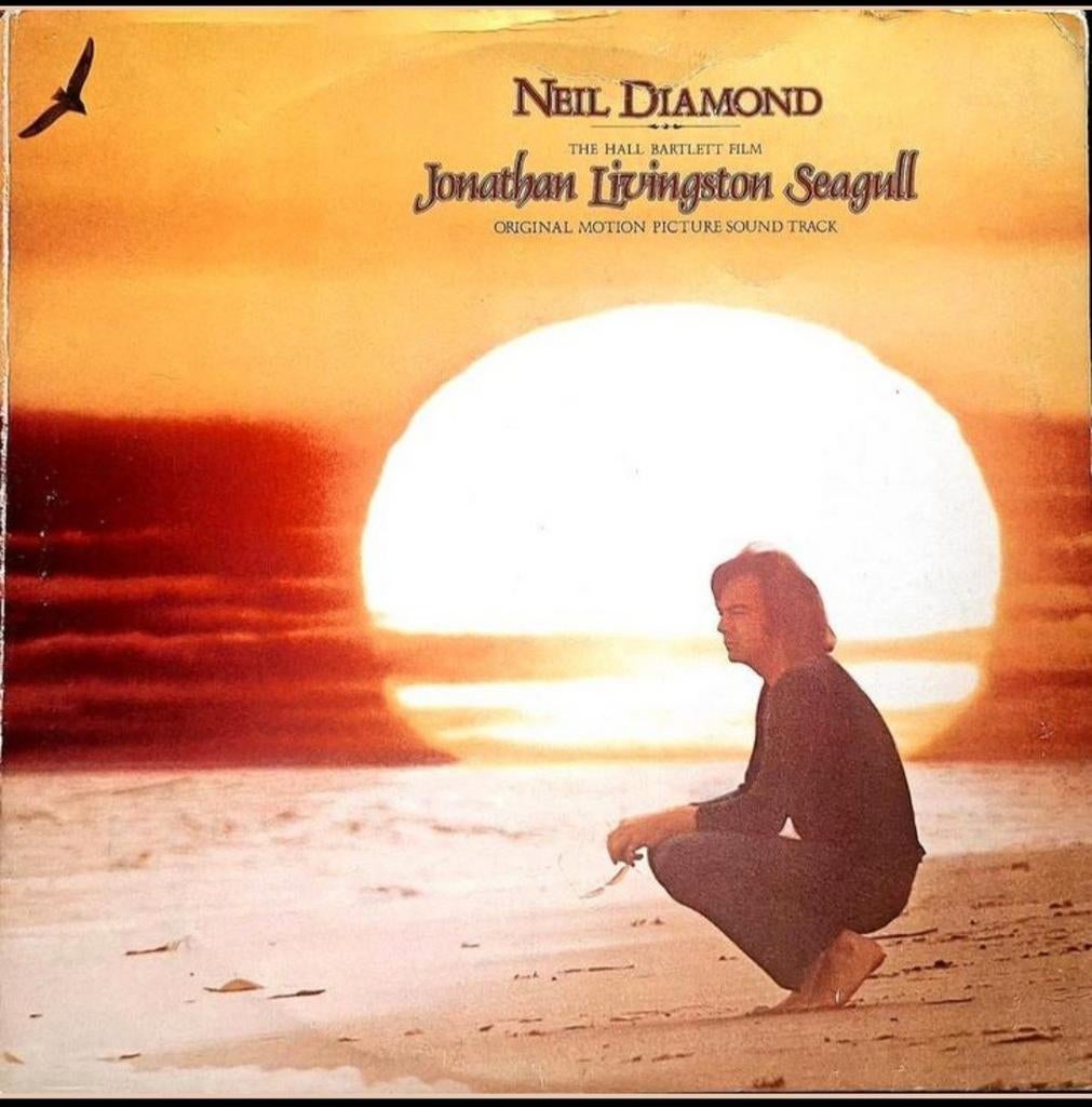 LP  NEIL DIAMOND - Jonathan Livingston Seagull, Cd's en Dvd's, Vinyl | Pop, Ophalen of Verzenden, Gebruikt, 12 inch