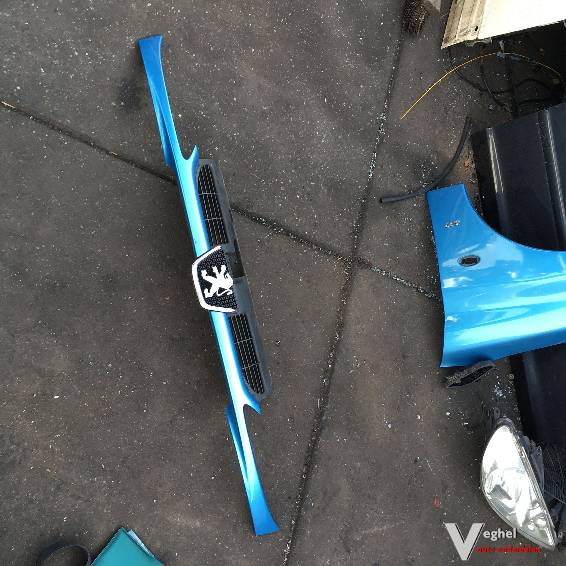 Peugeot 206 gti 2.0 16v Sw 2003 2500180  Grille, Auto-onderdelen, Ophalen, Gebruikt, -, -