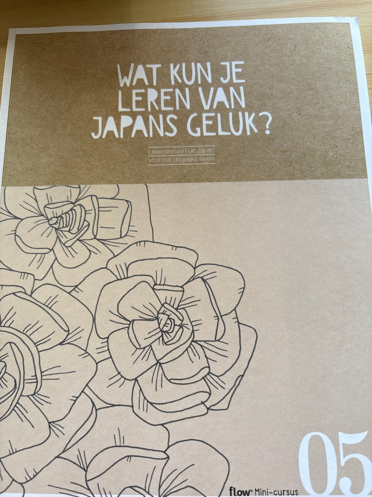 Flow Mini-cursus: Wat kun je leren van Japans geluk?, Boeken, Ophalen of Verzenden, Gelezen
