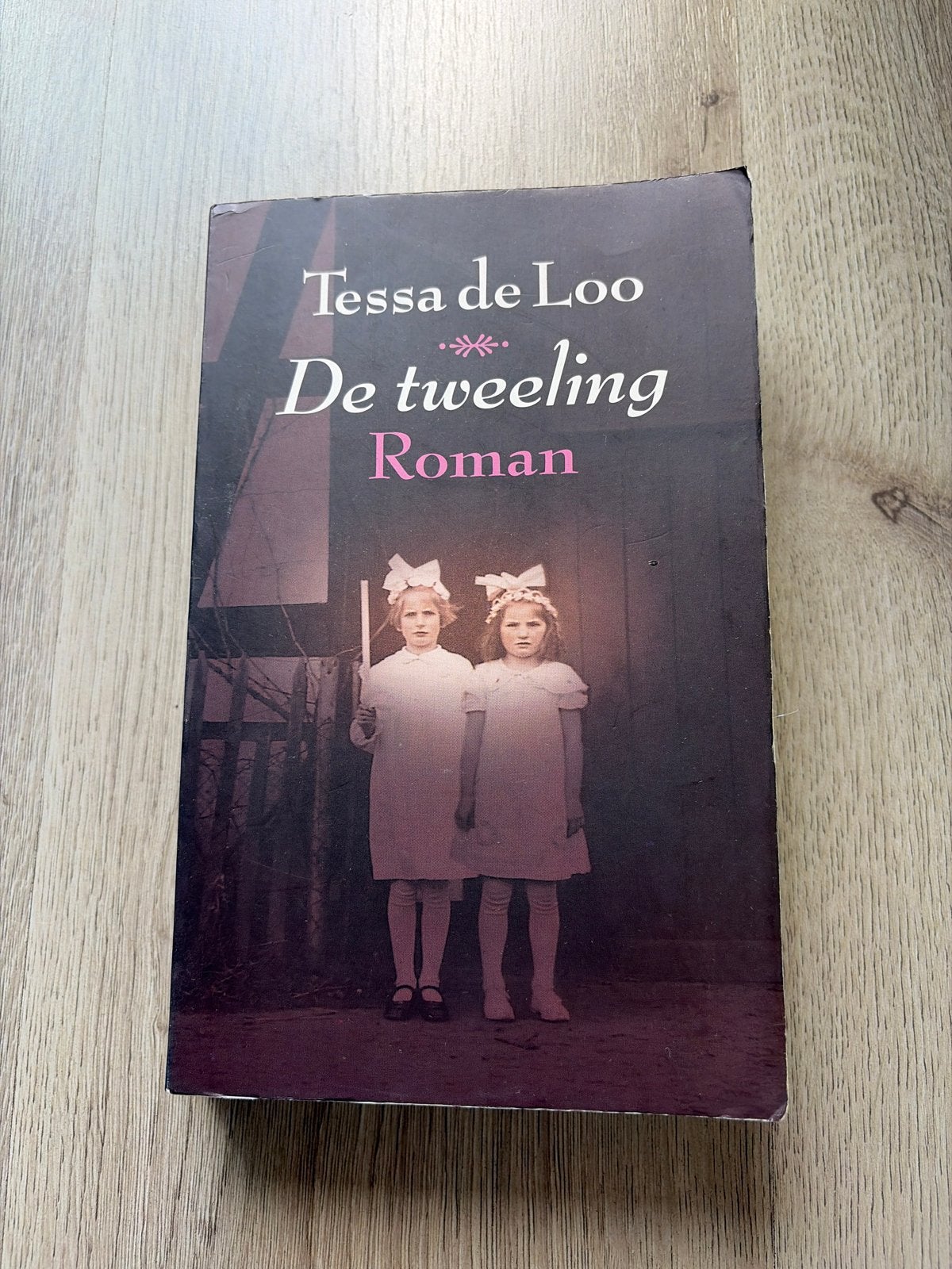 Tessa de Loo - De Tweeling (Roman), Boeken, Ophalen of Verzenden, Gelezen, Nederland