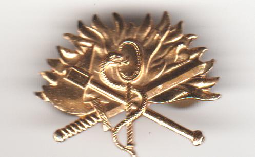 Goudkl. militarium dubbele schroefpin.. slang, Verzenden, Zo goed als nieuw