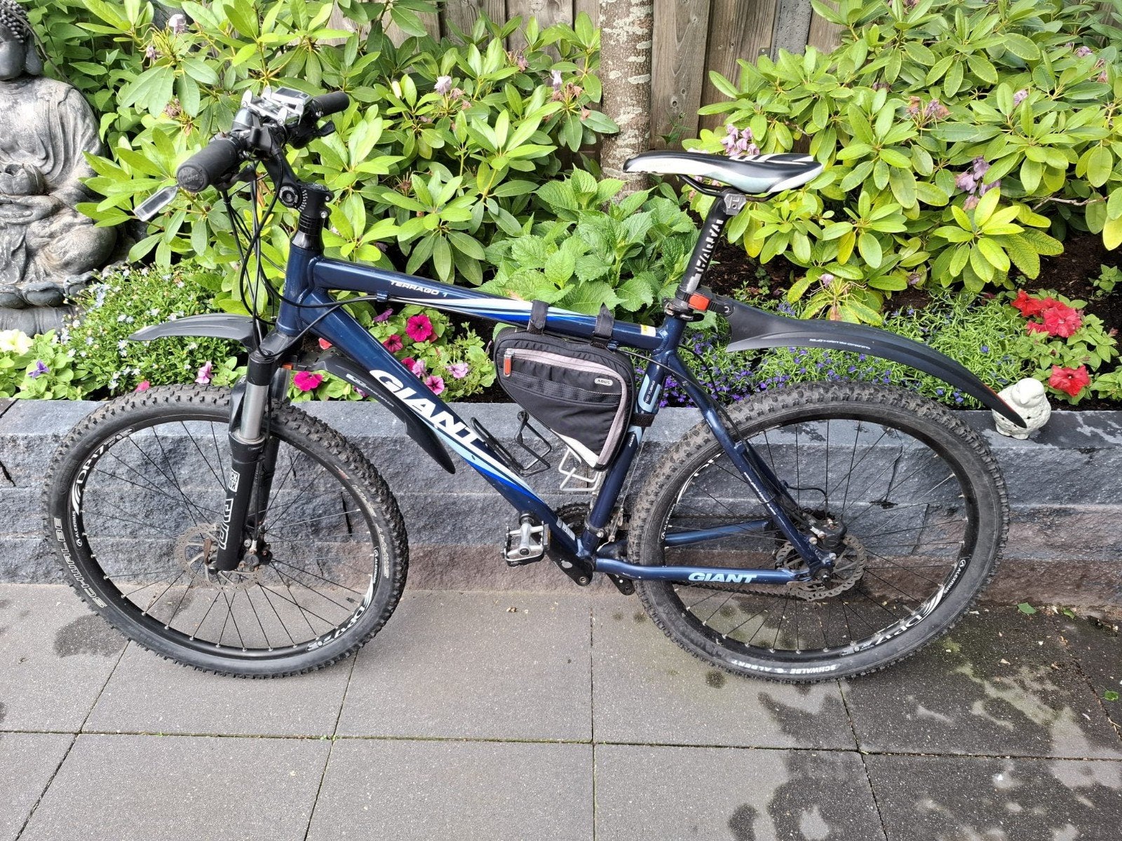 Giant Terrago 1 Mountainbike - Maat L, Ophalen, Gebruikt, Giant