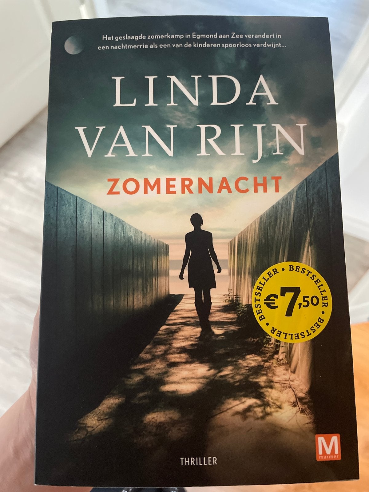 Linda van Rijn - Zomernacht (Thriller) - nieuw!, Boeken, Ophalen of Verzenden, Nieuw, Nederland