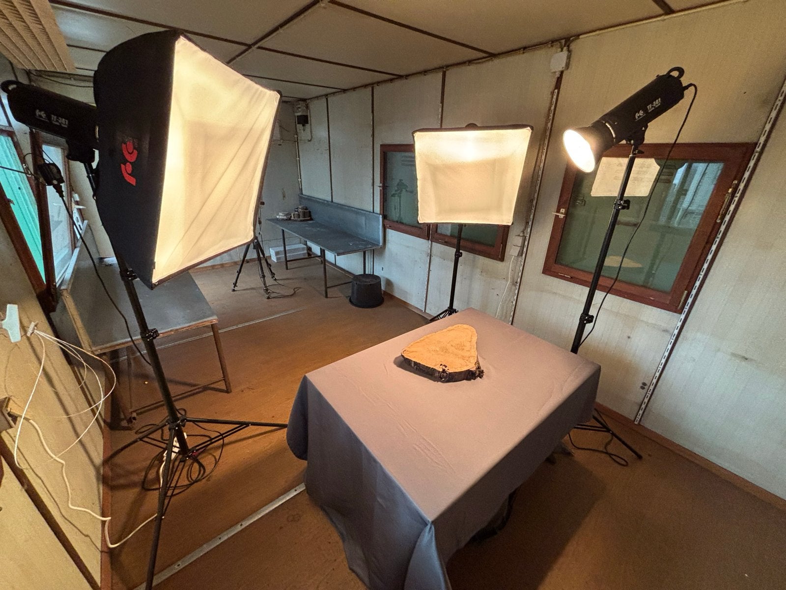 Falconeyes TF-301 Studio Flash lampen, Ophalen, Gebruikt, Lamp of Flitsset
