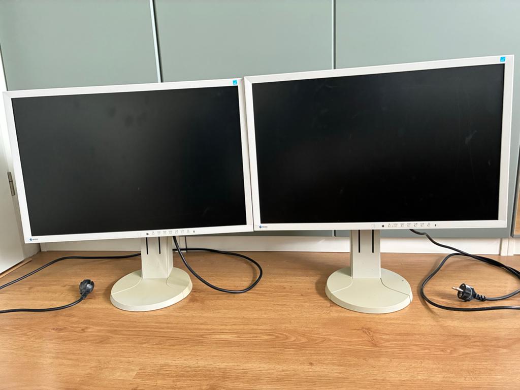 Twee EIZO FlexScan EV2436W 24 inch monitoren, Computers en Software, Monitoren, Gebruikt, 61 t/m 100 Hz, DisplayPort, DVI, VGA