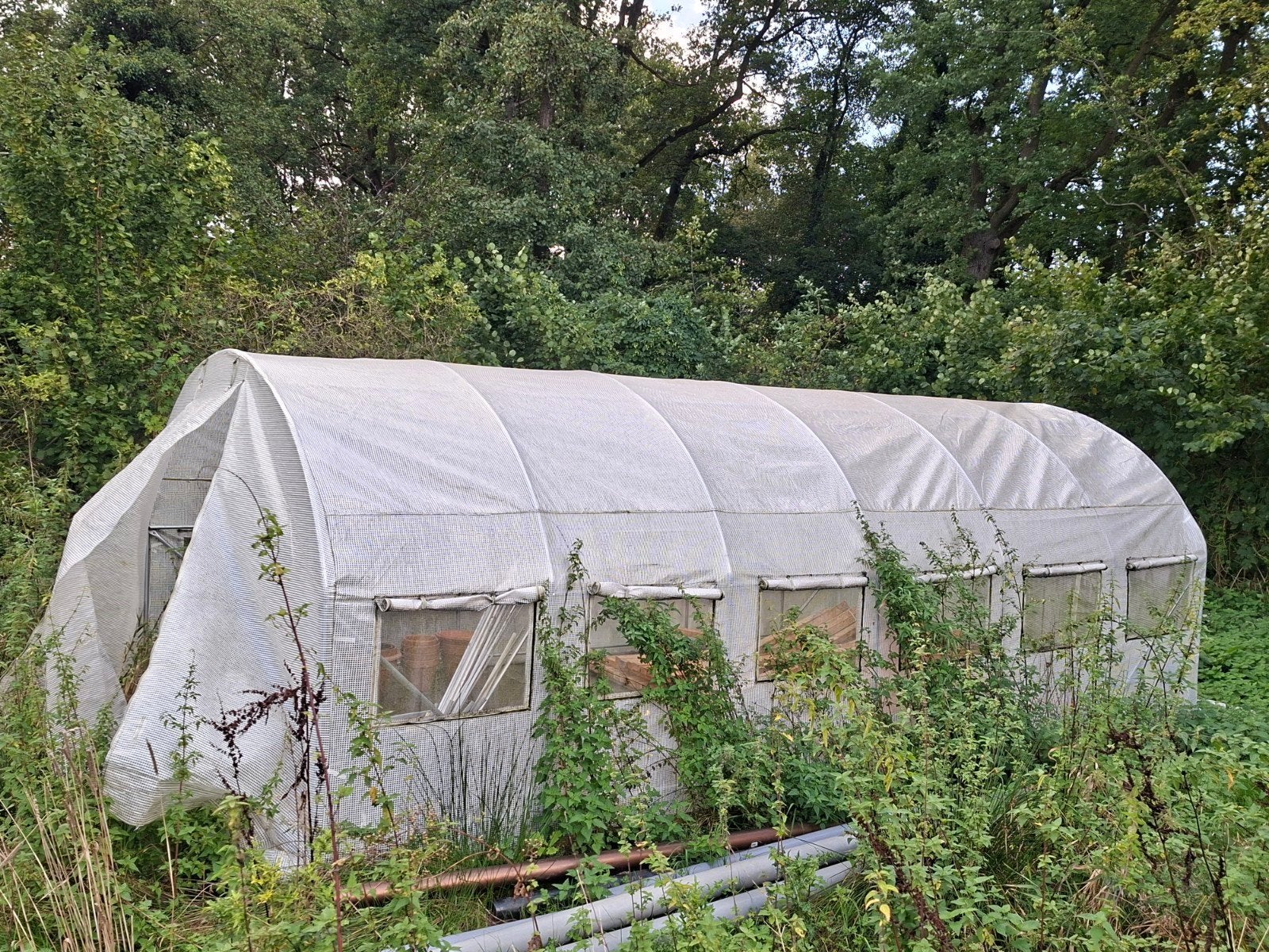 Grote tunnelkas voor moestuin 3x6 meter, Folie, Kweekkas, Zo goed als nieuw, Ophalen