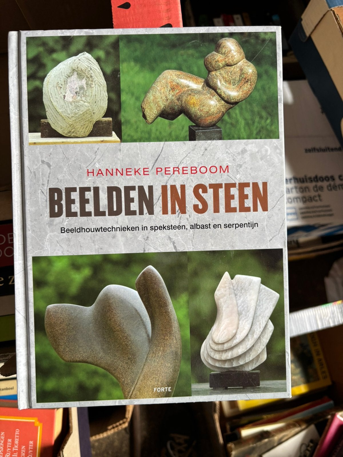 Hanneke Pereboom - Beelden in steen, Ophalen of Verzenden, Zo goed als nieuw, Hanneke Pereboom