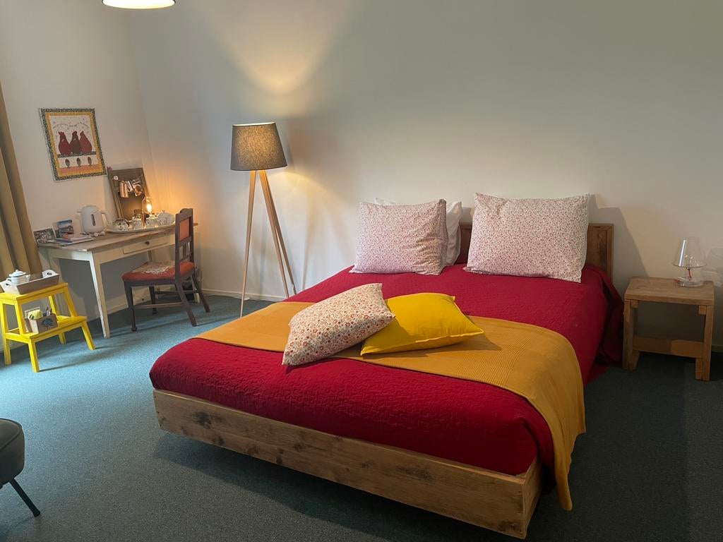 Logeerplek Nijmeegse vierdaagse aangeboden, Huizen en Kamers, 20 tot 35 m², Nijmegen