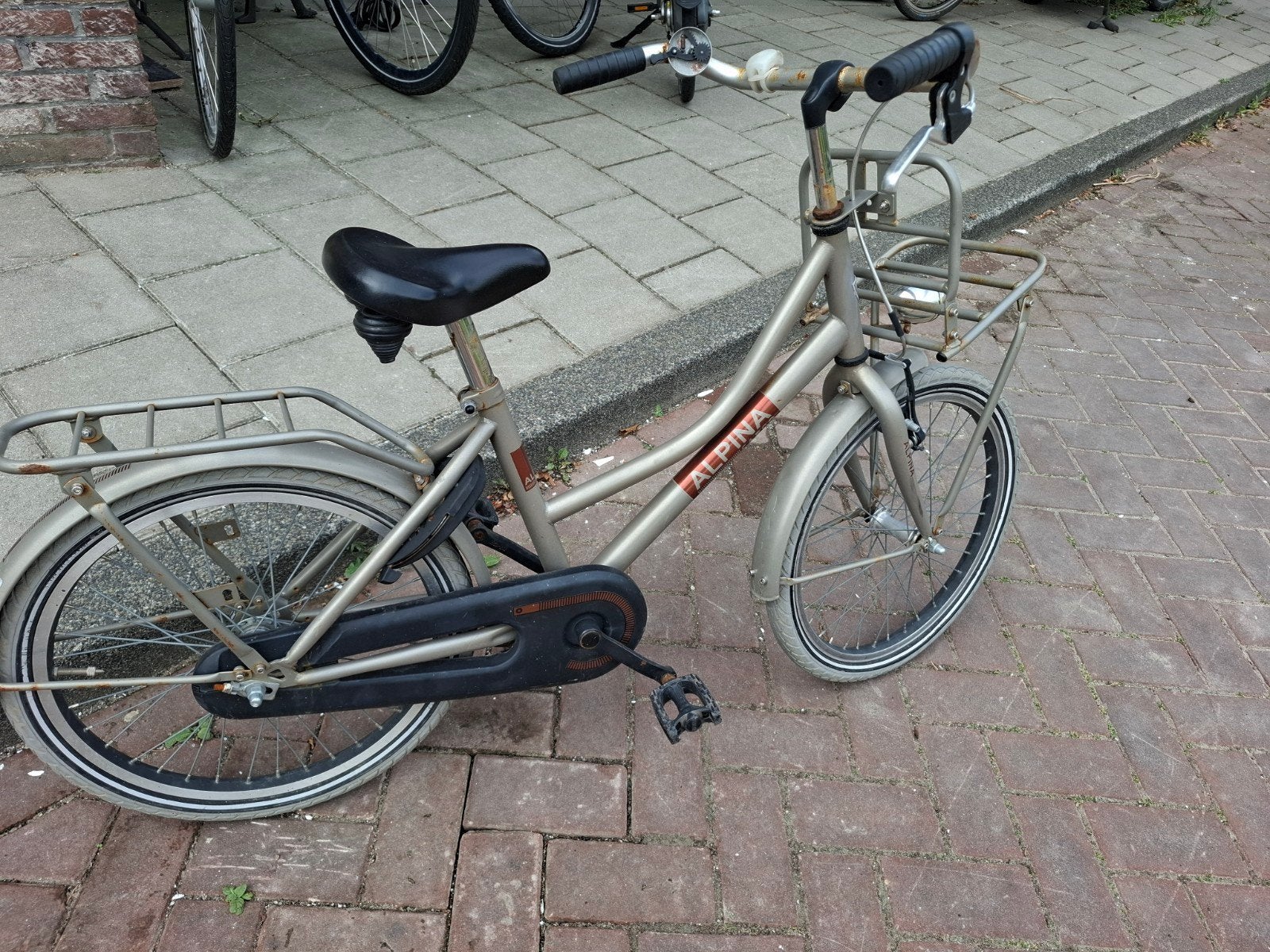 Stoere Alpina Cargo Kinderfiets 20 inch, Ophalen, Gebruikt, 20 inch of meer, Alpina Cargo