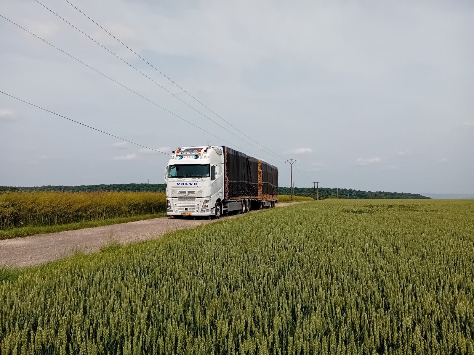 Stro en Hooi te koop, Ophalen of Verzenden
